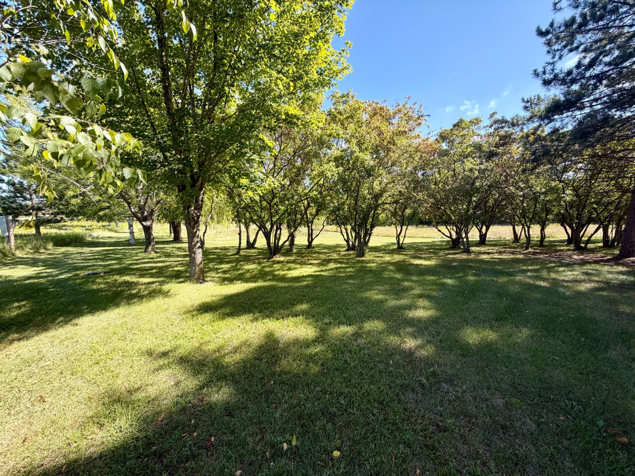 14255 County Highway 11 Property Photo 33