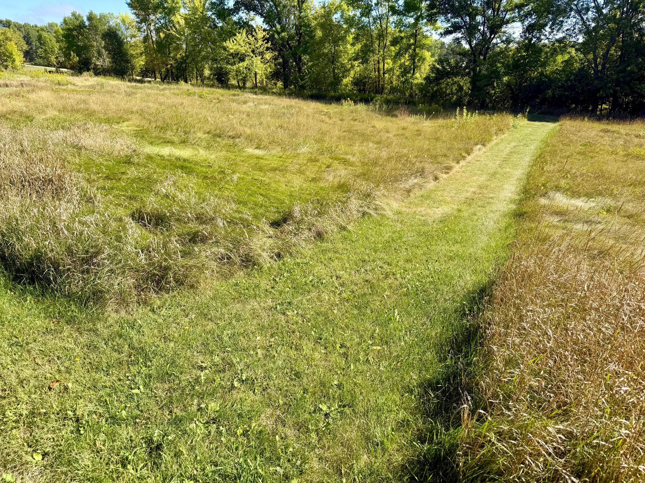 14255 County Highway 11 Property Photo 40