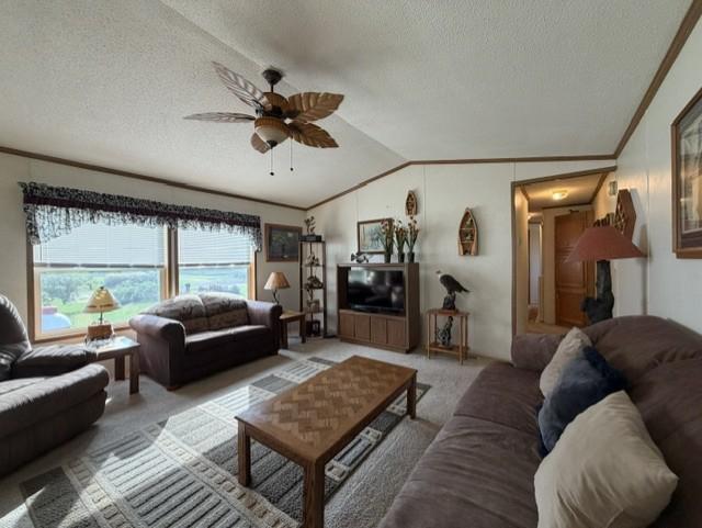 295 Tingdale Street N Property Photo 13