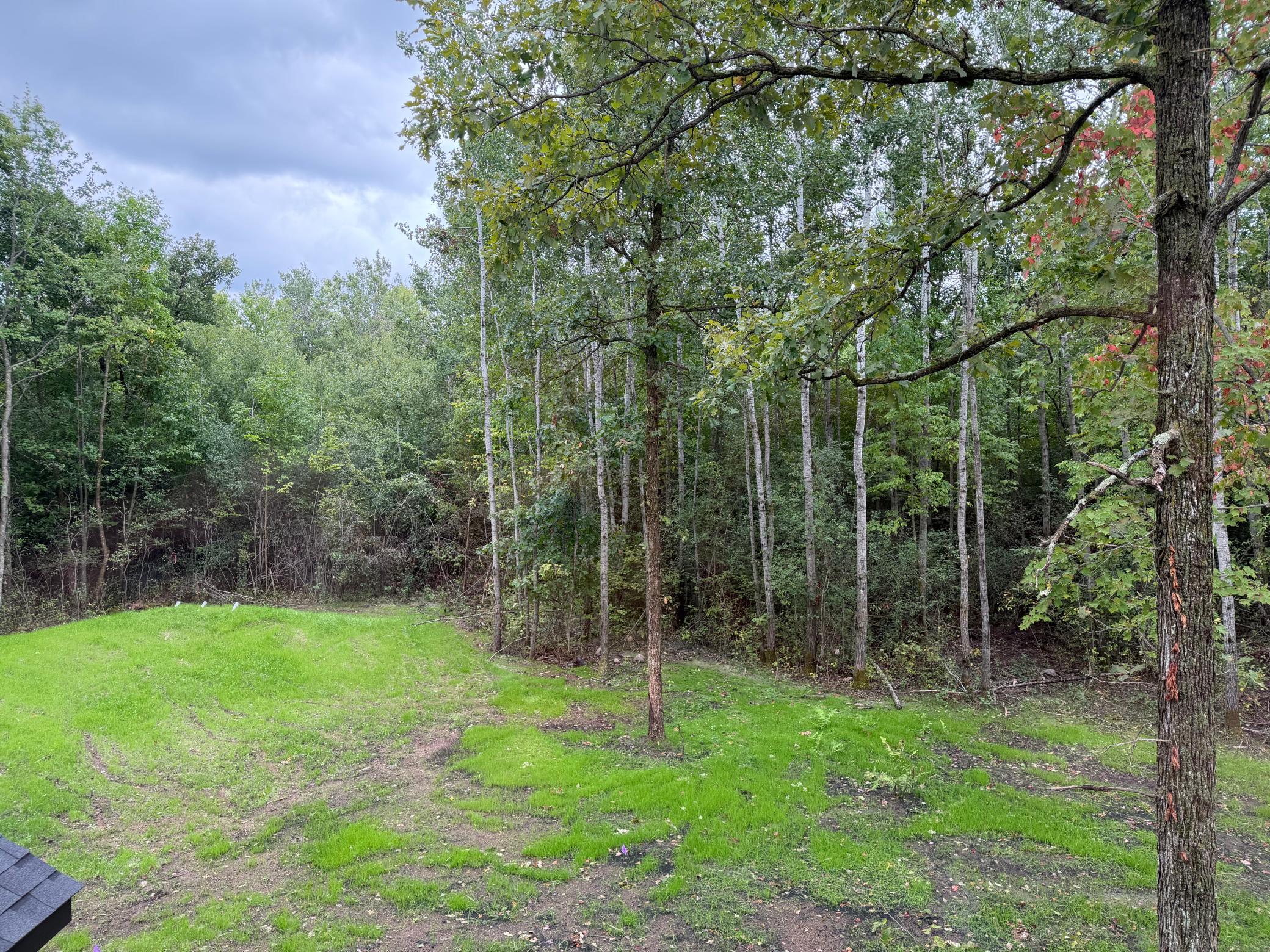12157 Butternut Road Property Photo 44