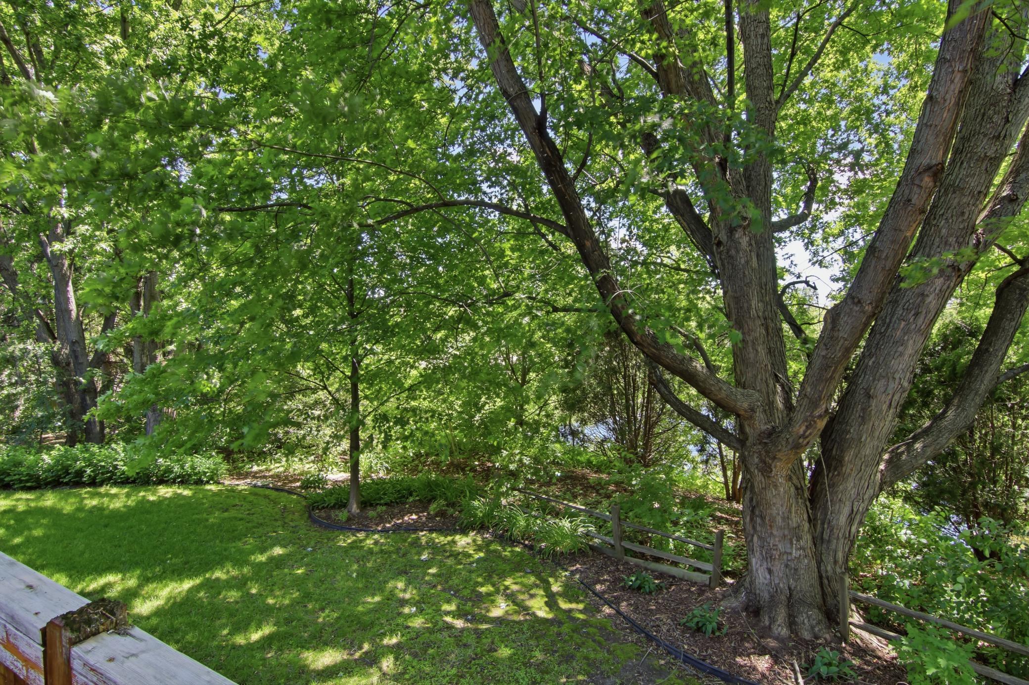 9953 Starlight Drive Property Photo 46