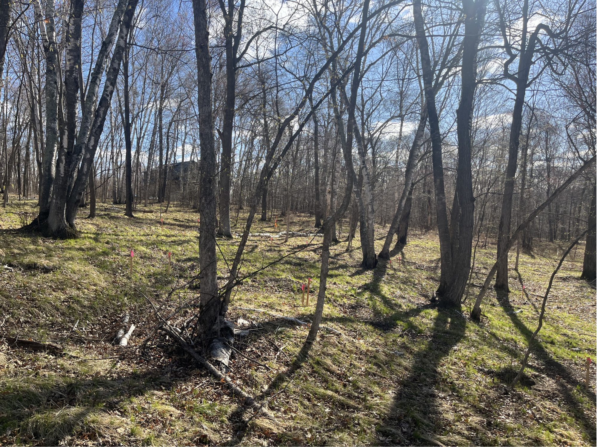 37880 Wilderness Parkway Property Photo 27