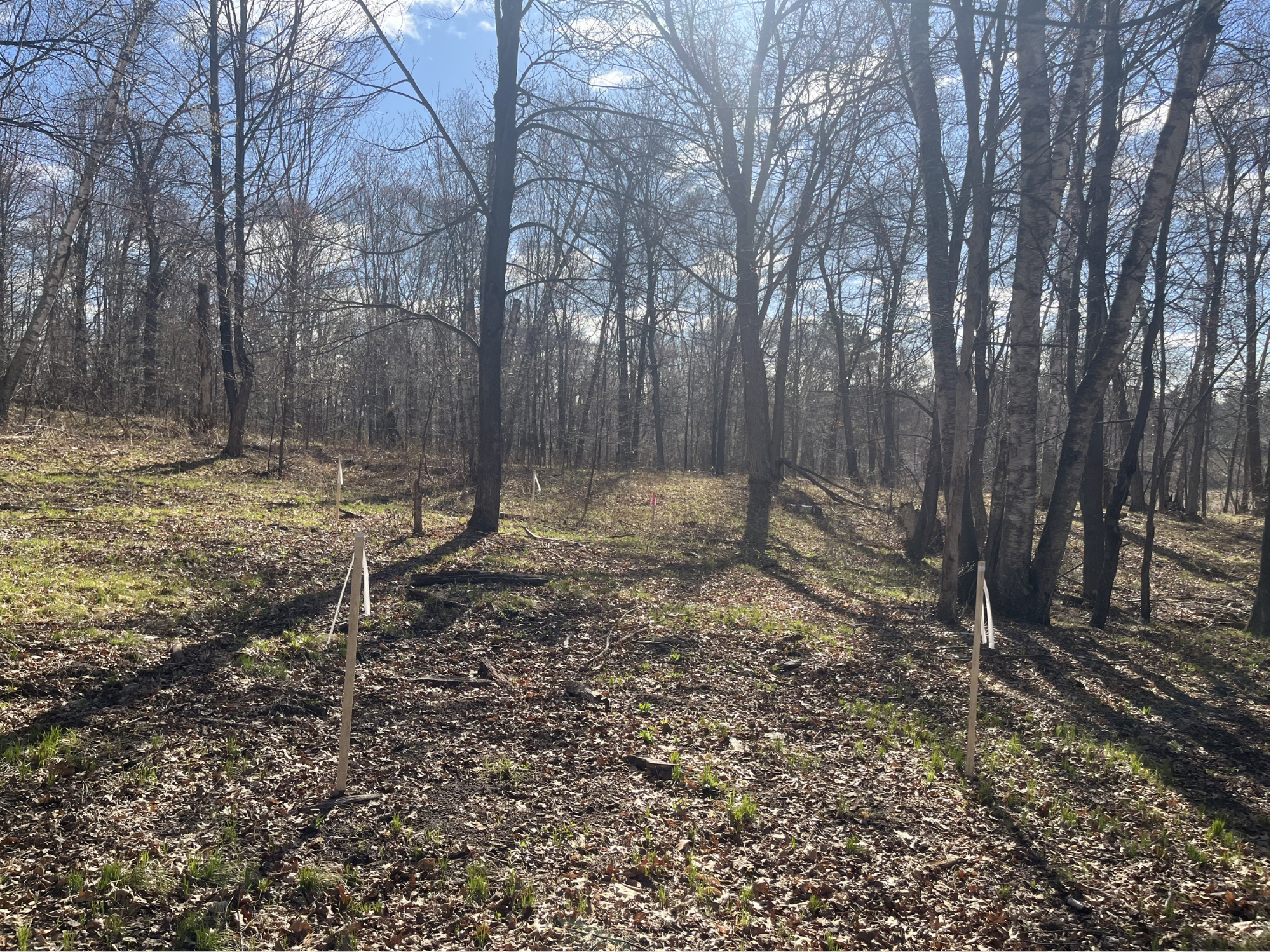 37880 Wilderness Parkway Property Photo 28