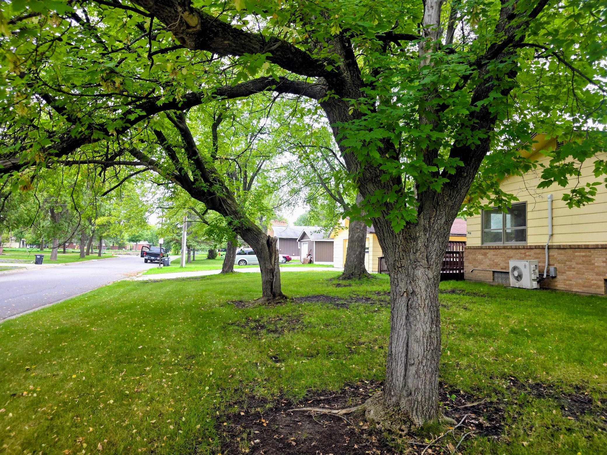 1410 Home Lane Property Photo 28