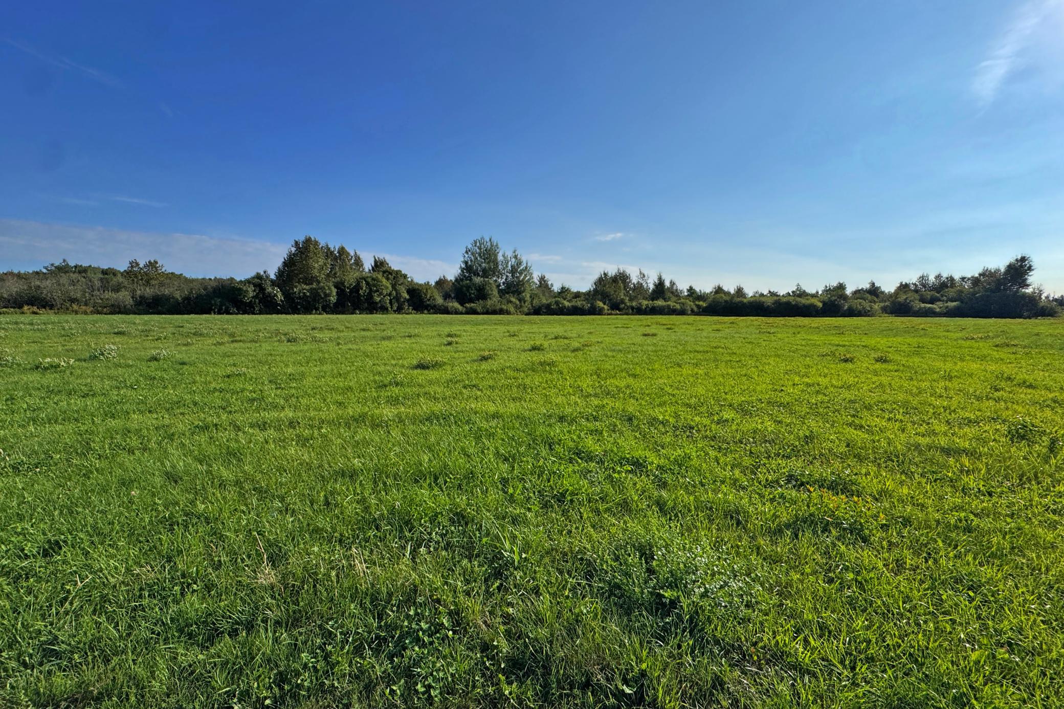 10745 Highway 8 Property Photo 58