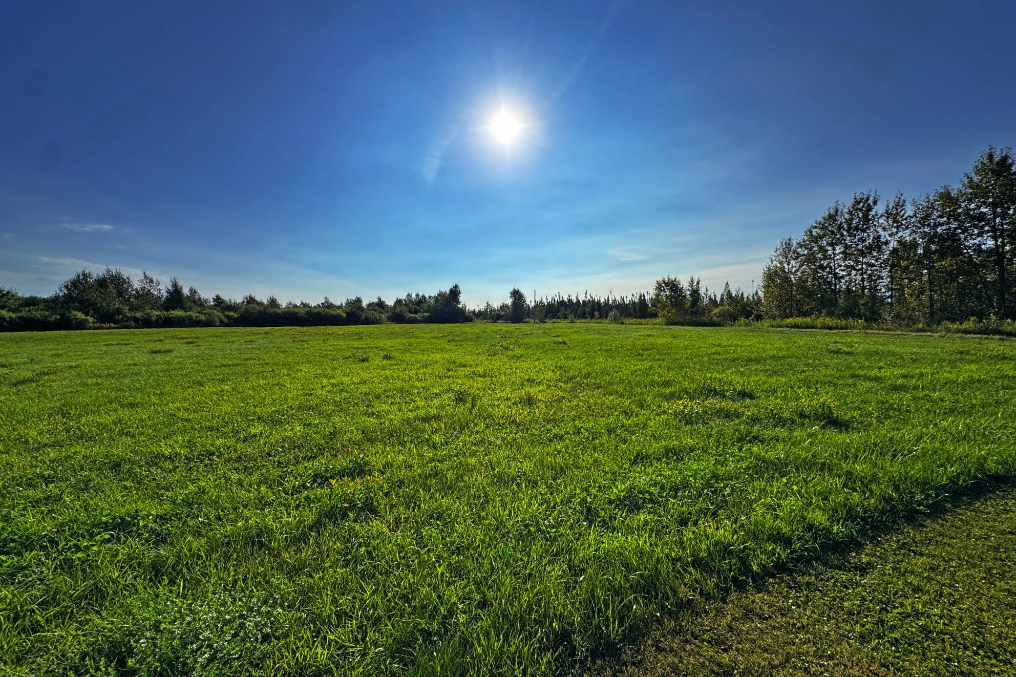 10745 Highway 8 Property Photo 59