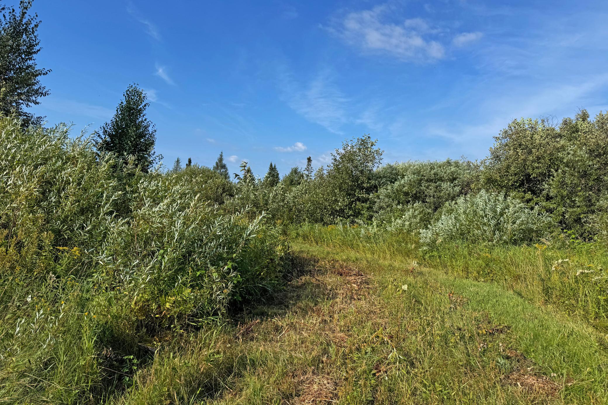 10745 Highway 8 Property Photo 61