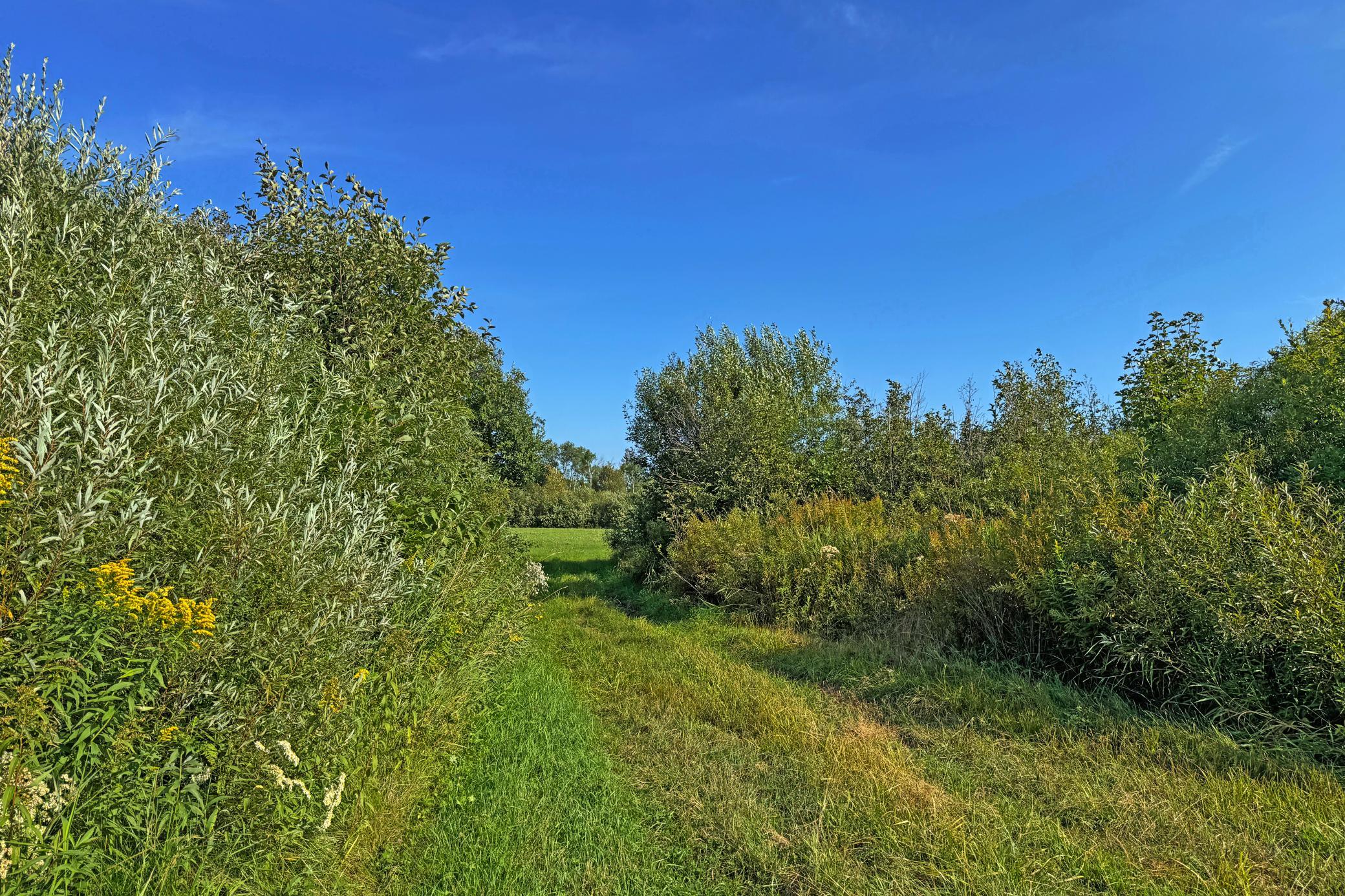 10745 Highway 8 Property Photo 63