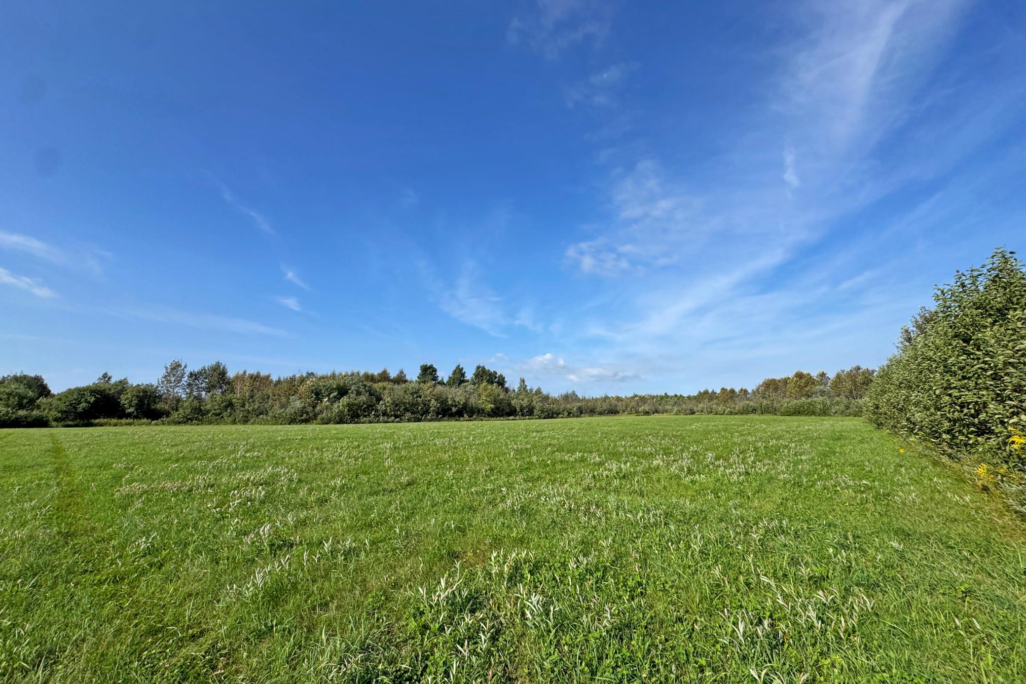 10745 Highway 8 Property Photo 67