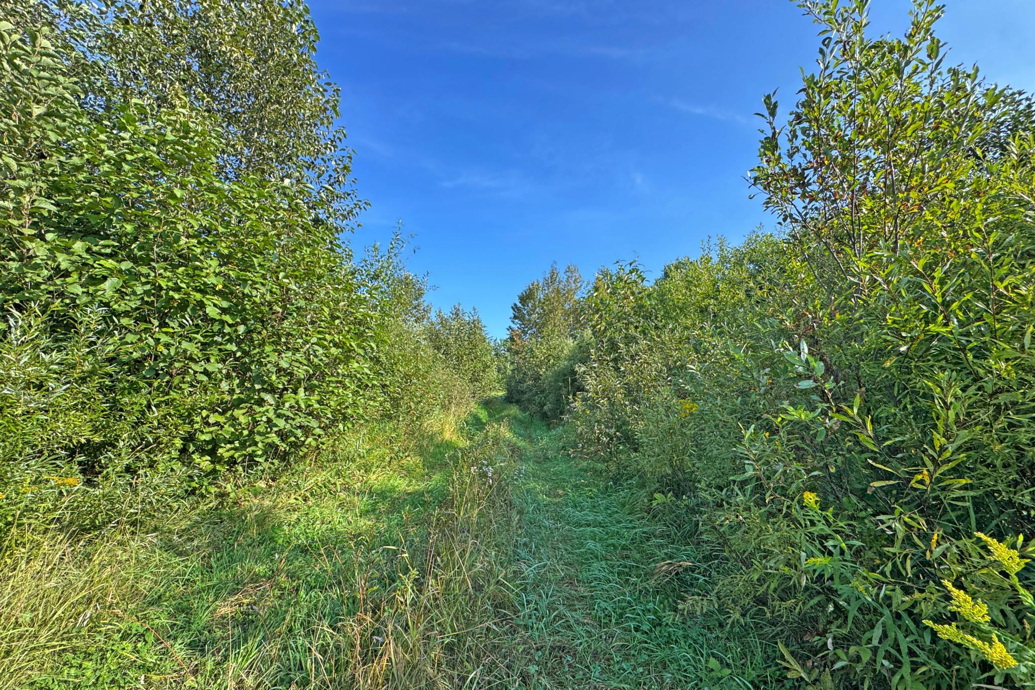 10745 Highway 8 Property Photo 68