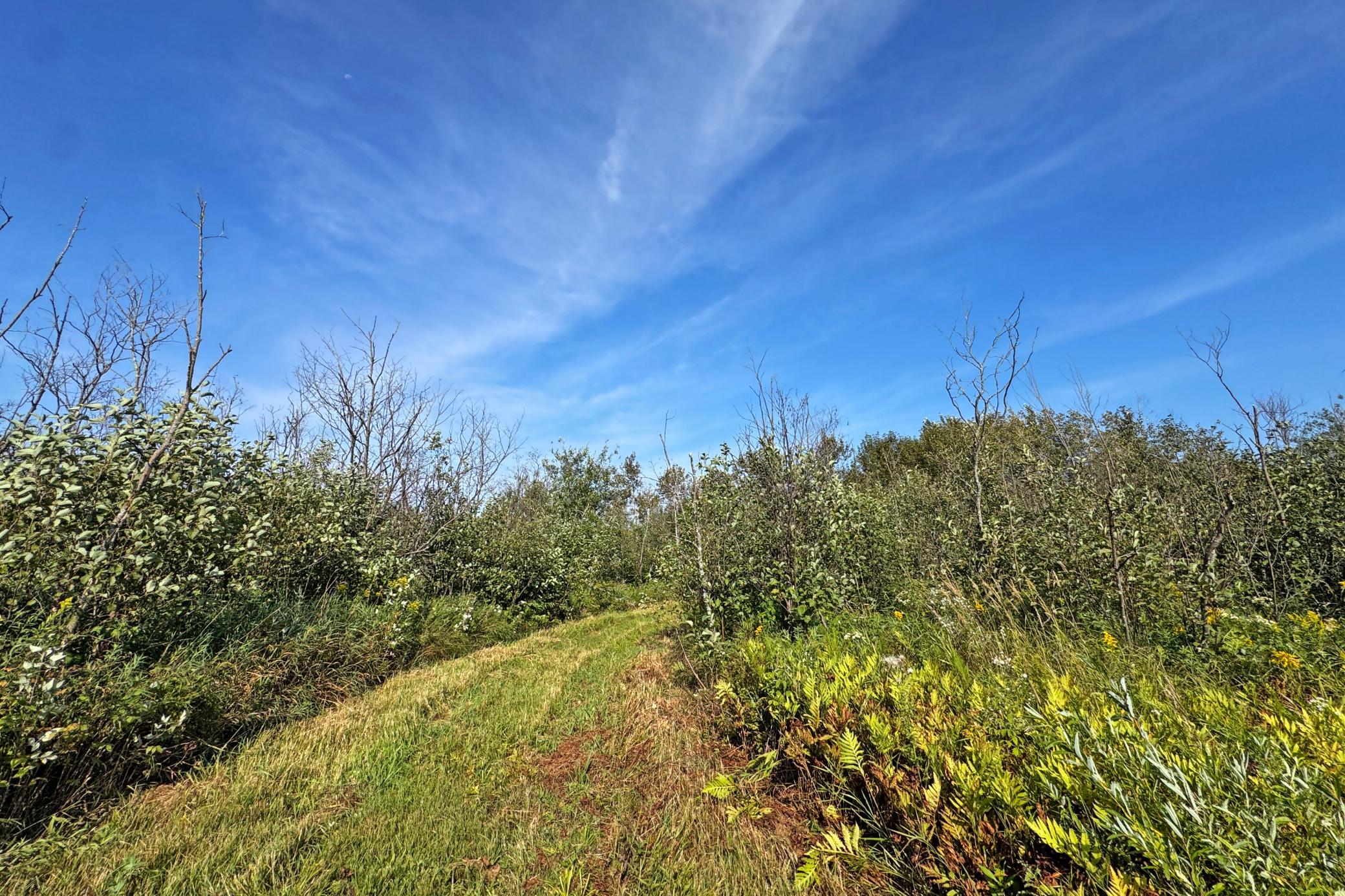 10745 Highway 8 Property Photo 72