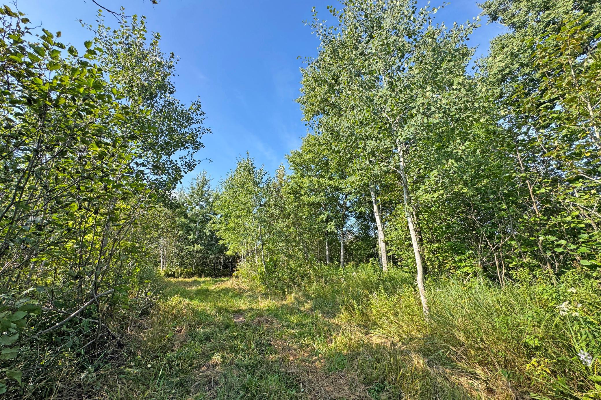 10745 Highway 8 Property Photo 73