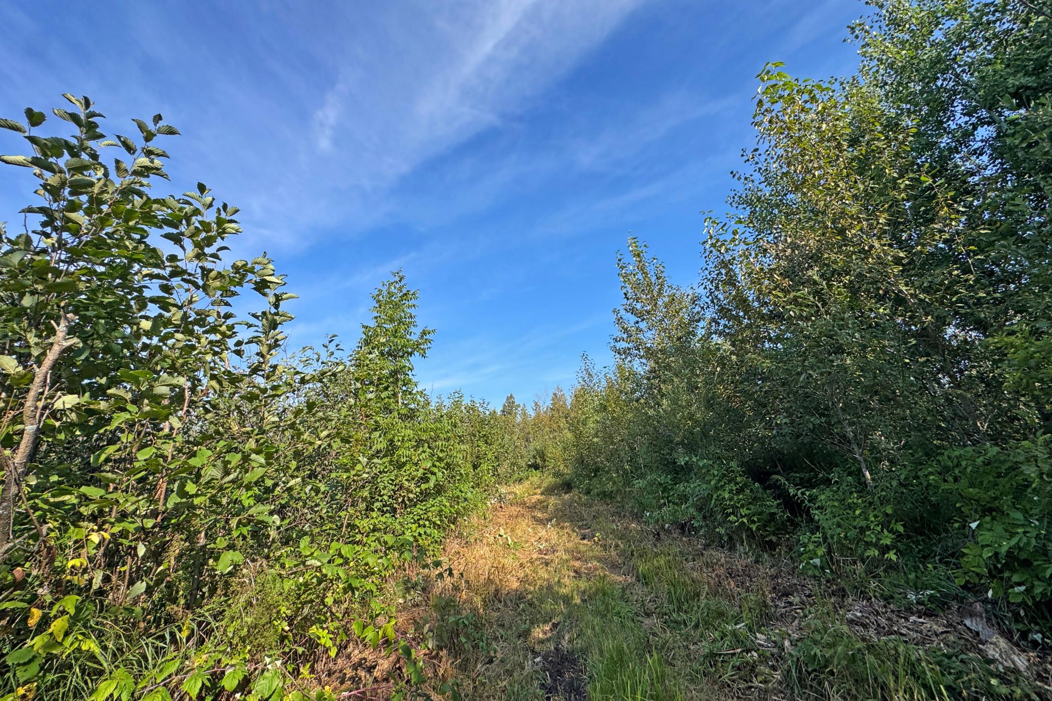 10745 Highway 8 Property Photo 74