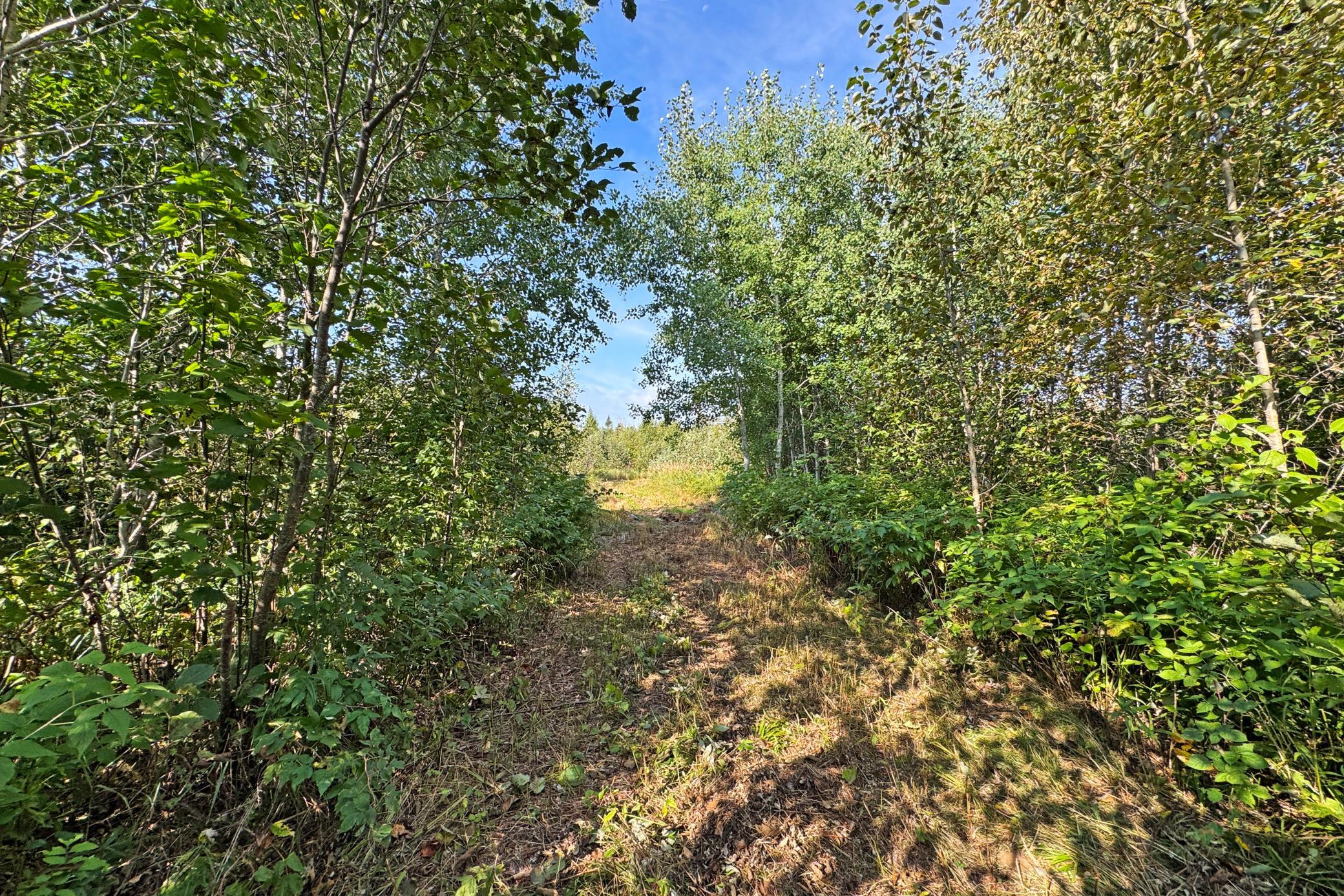 10745 Highway 8 Property Photo 75