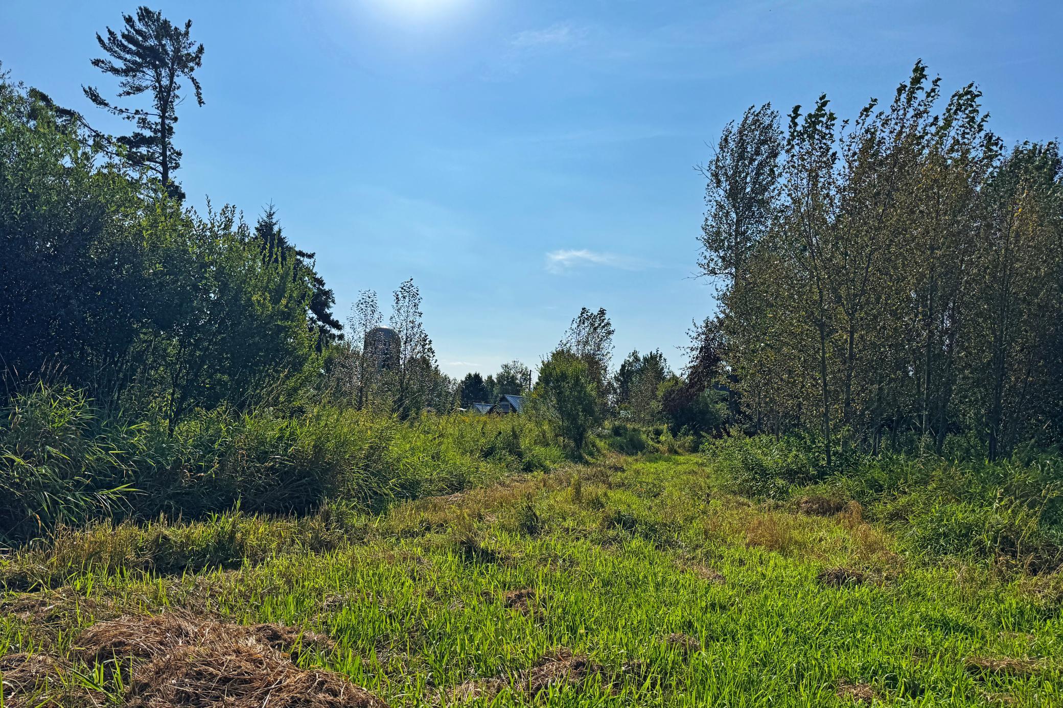 10745 Highway 8 Property Photo 76