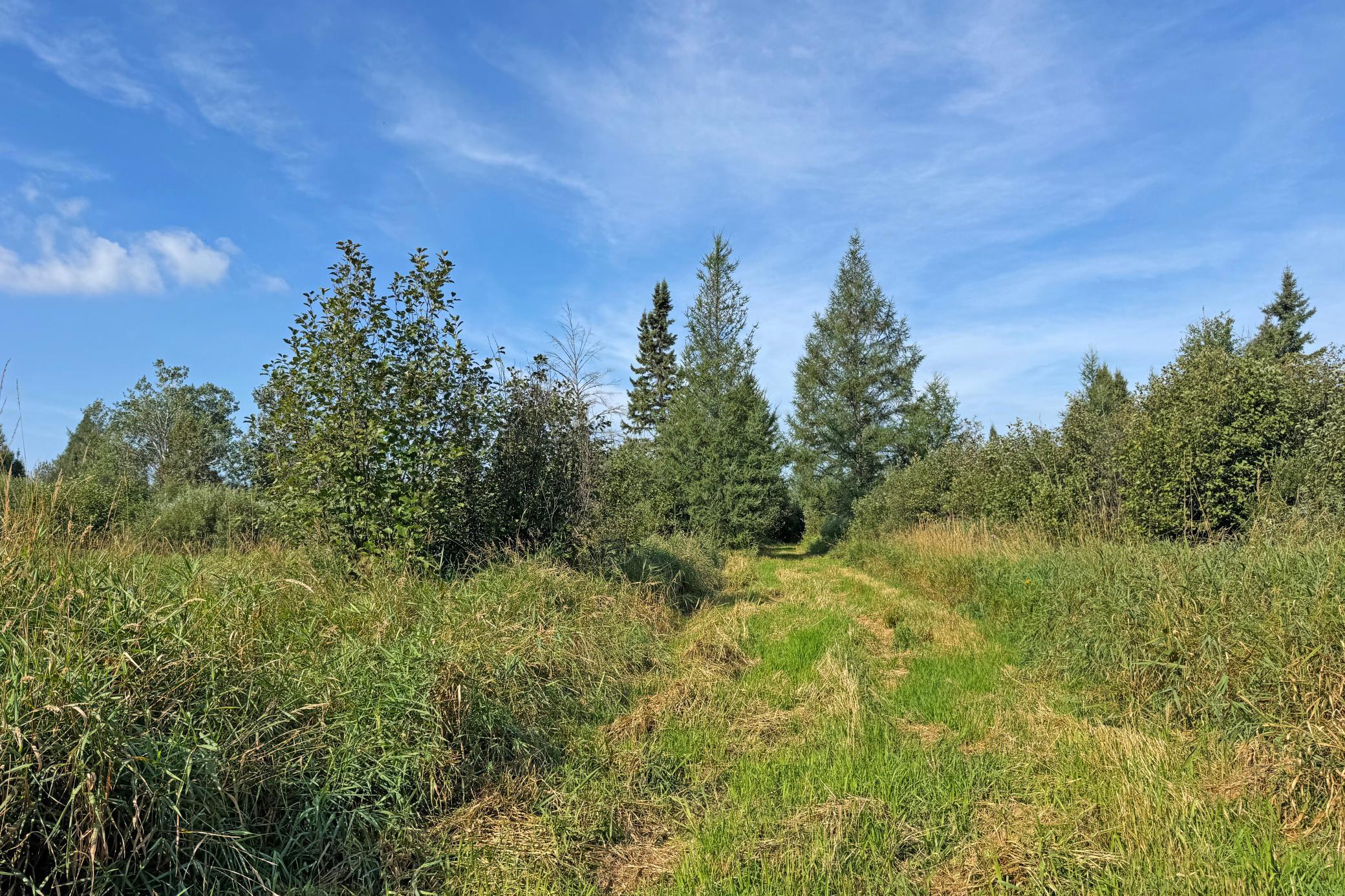 10745 Highway 8 Property Photo 77