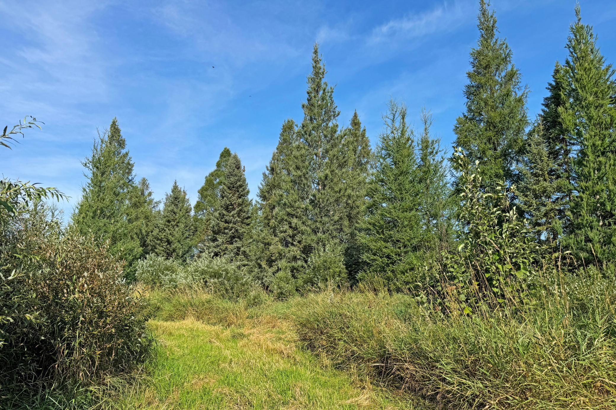 10745 Highway 8 Property Photo 78