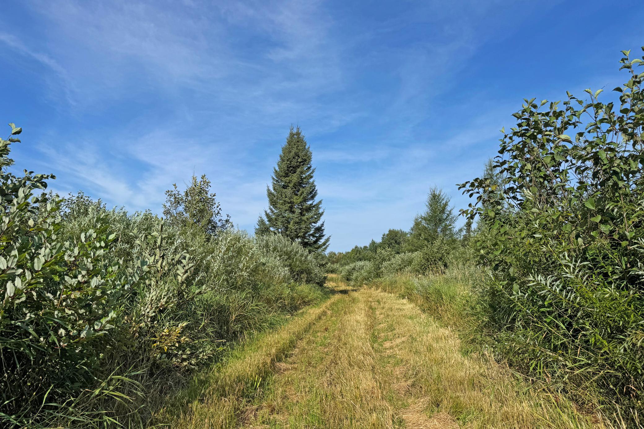 10745 Highway 8 Property Photo 79