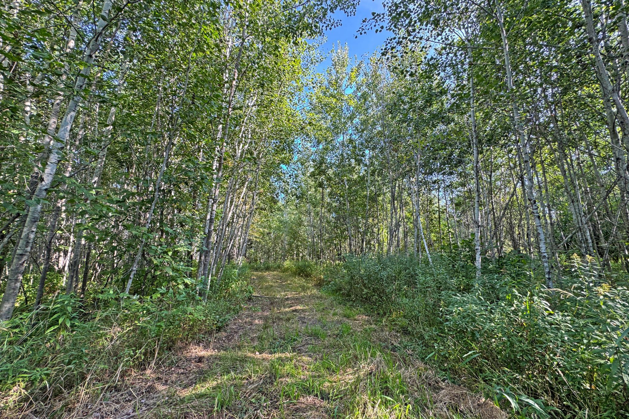 10745 Highway 8 Property Photo 80