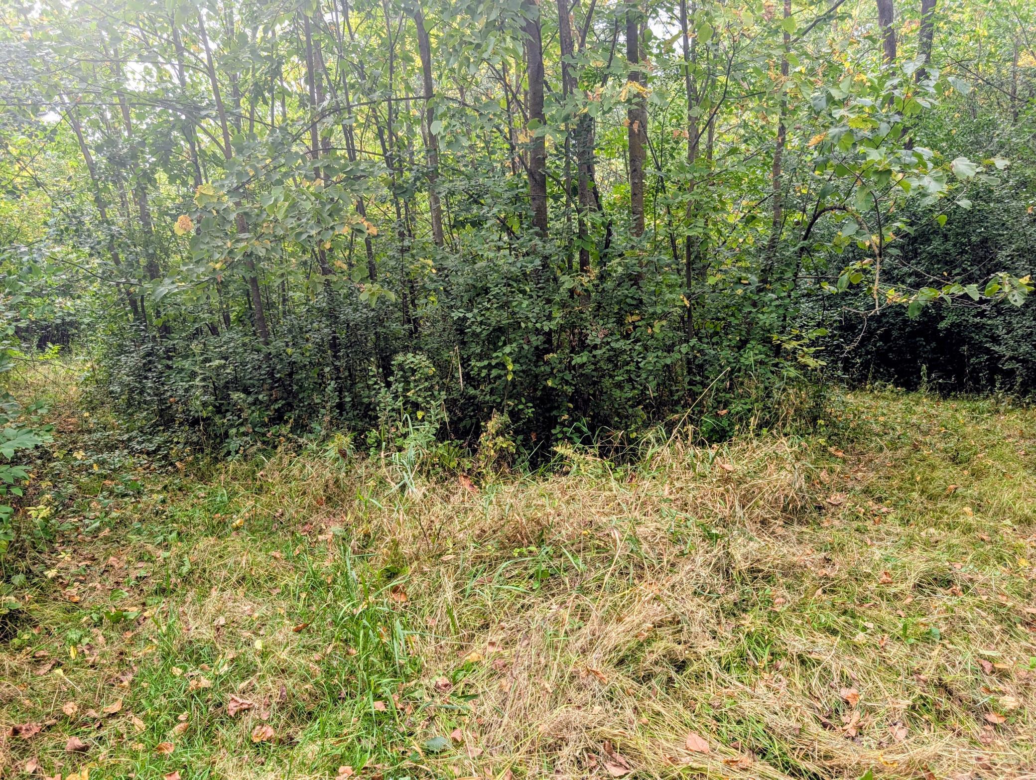 7189 185th Street Property Photo 41