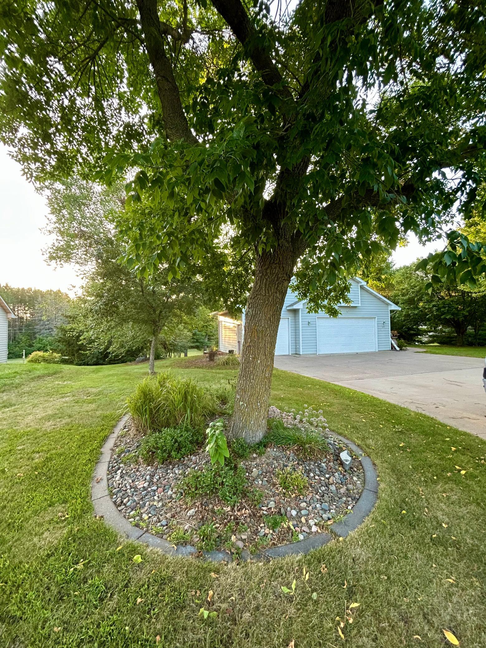 325 Willow Street Property Photo 6