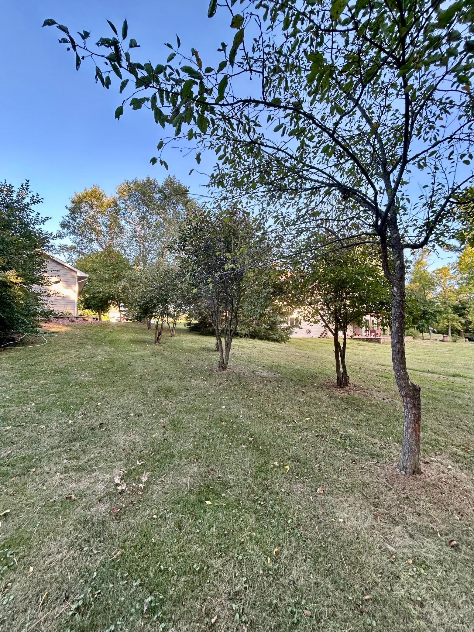 325 Willow Street Property Photo 10