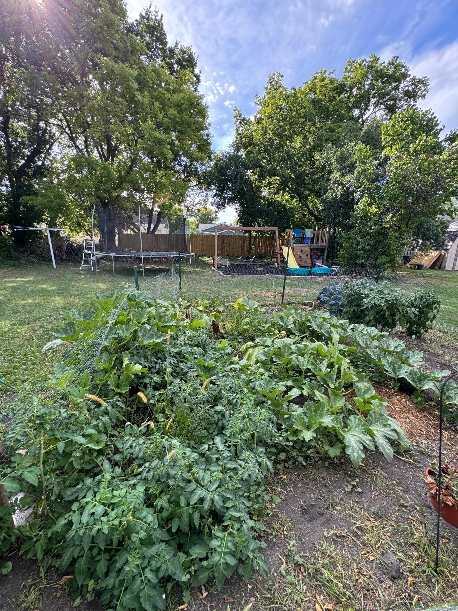 219 16th Street N Property Photo 17