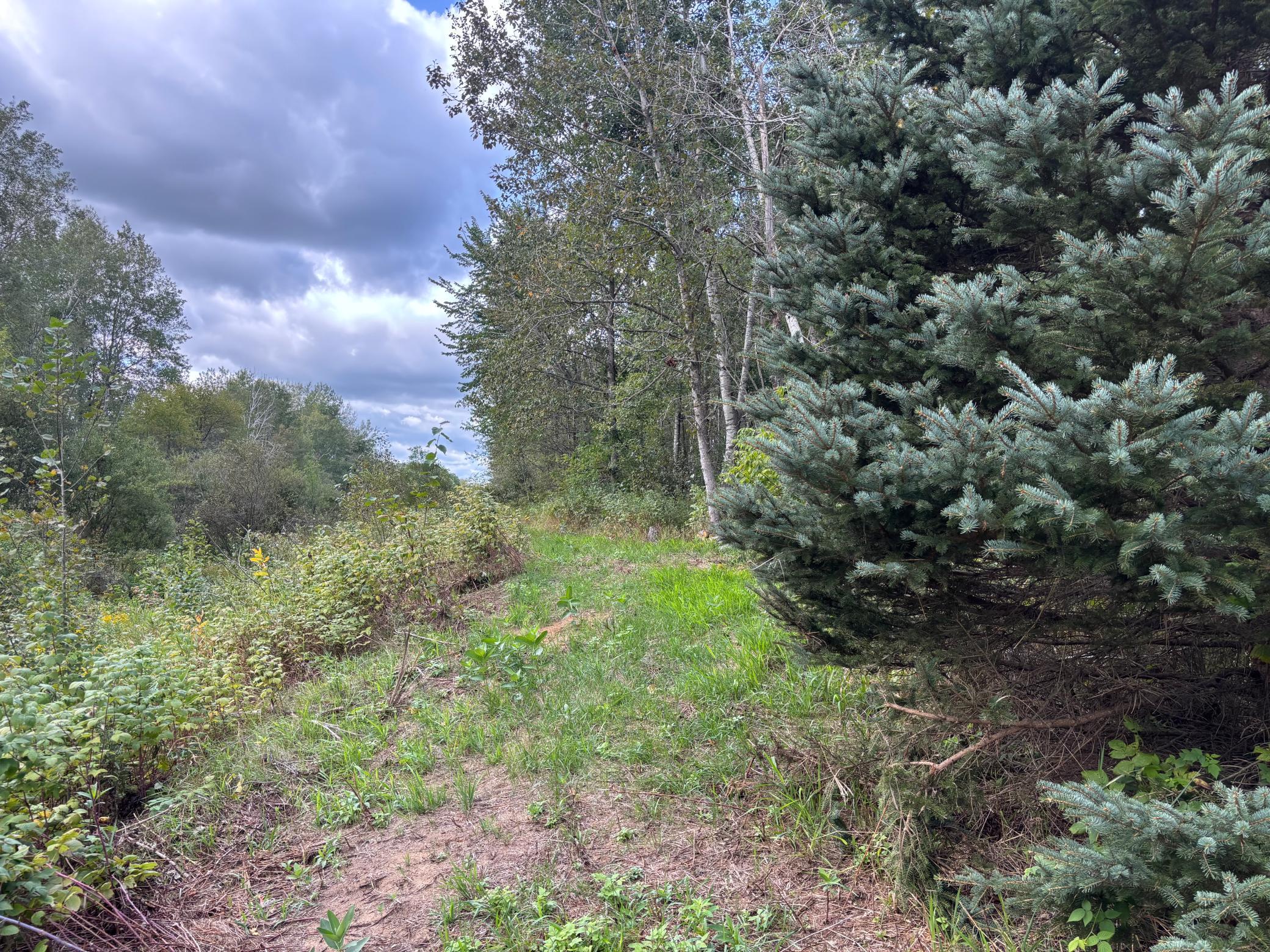14026 440th Street Property Photo 18