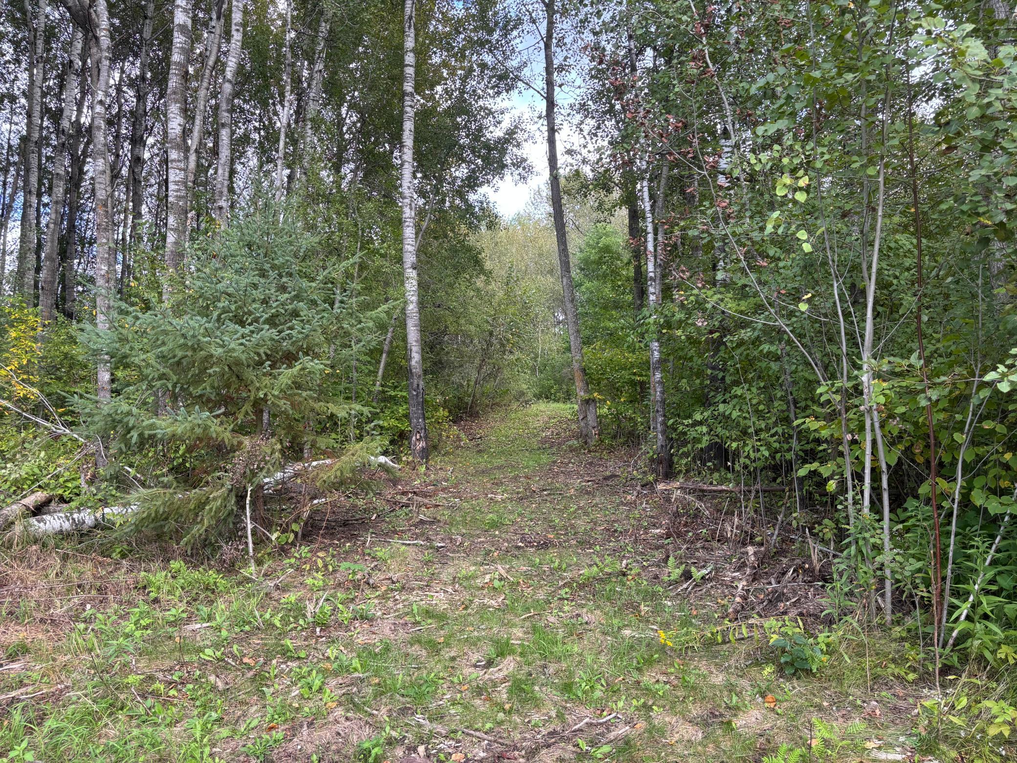 14026 440th Street Property Photo 19