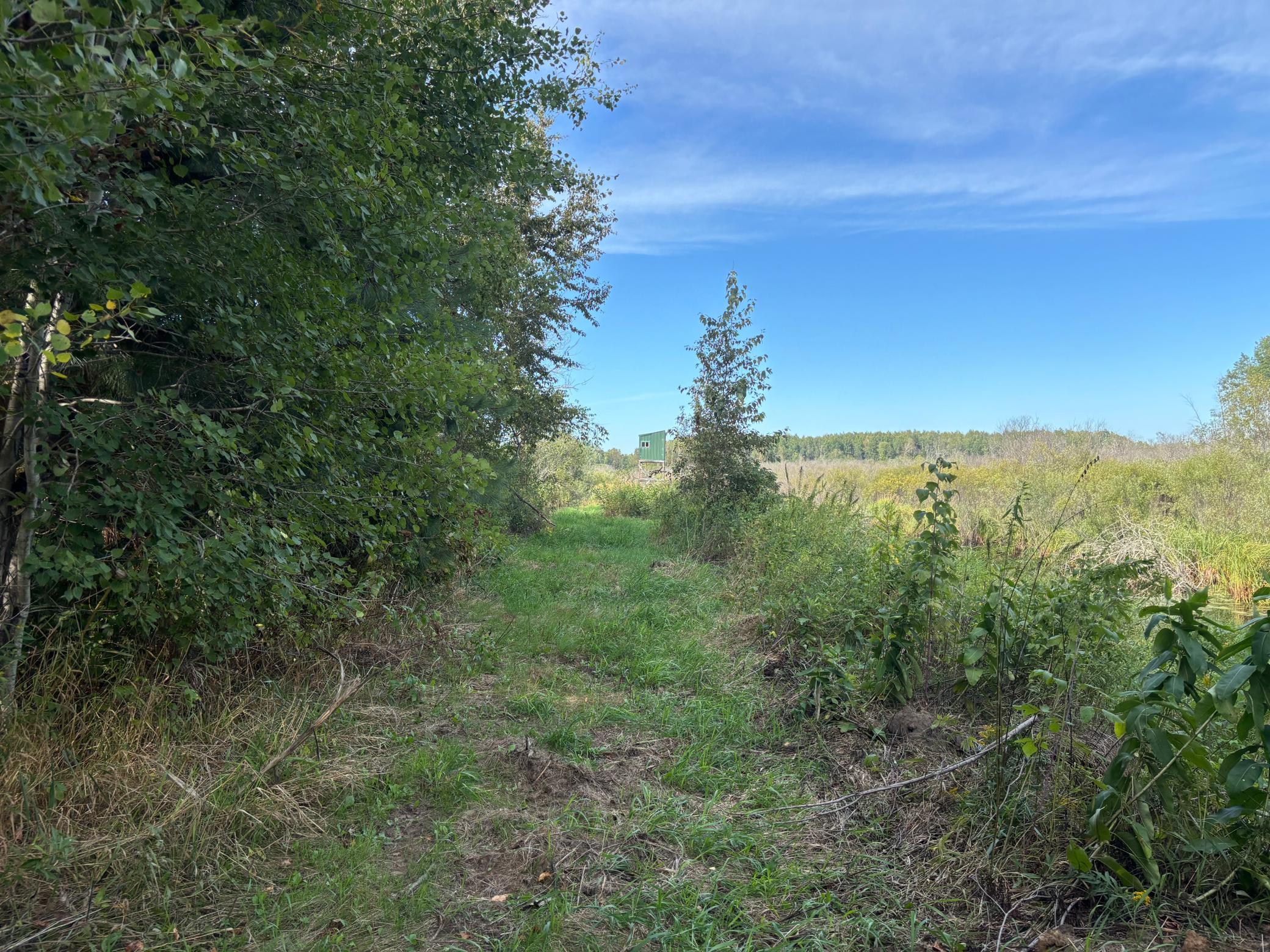 14026 440th Street Property Photo 20