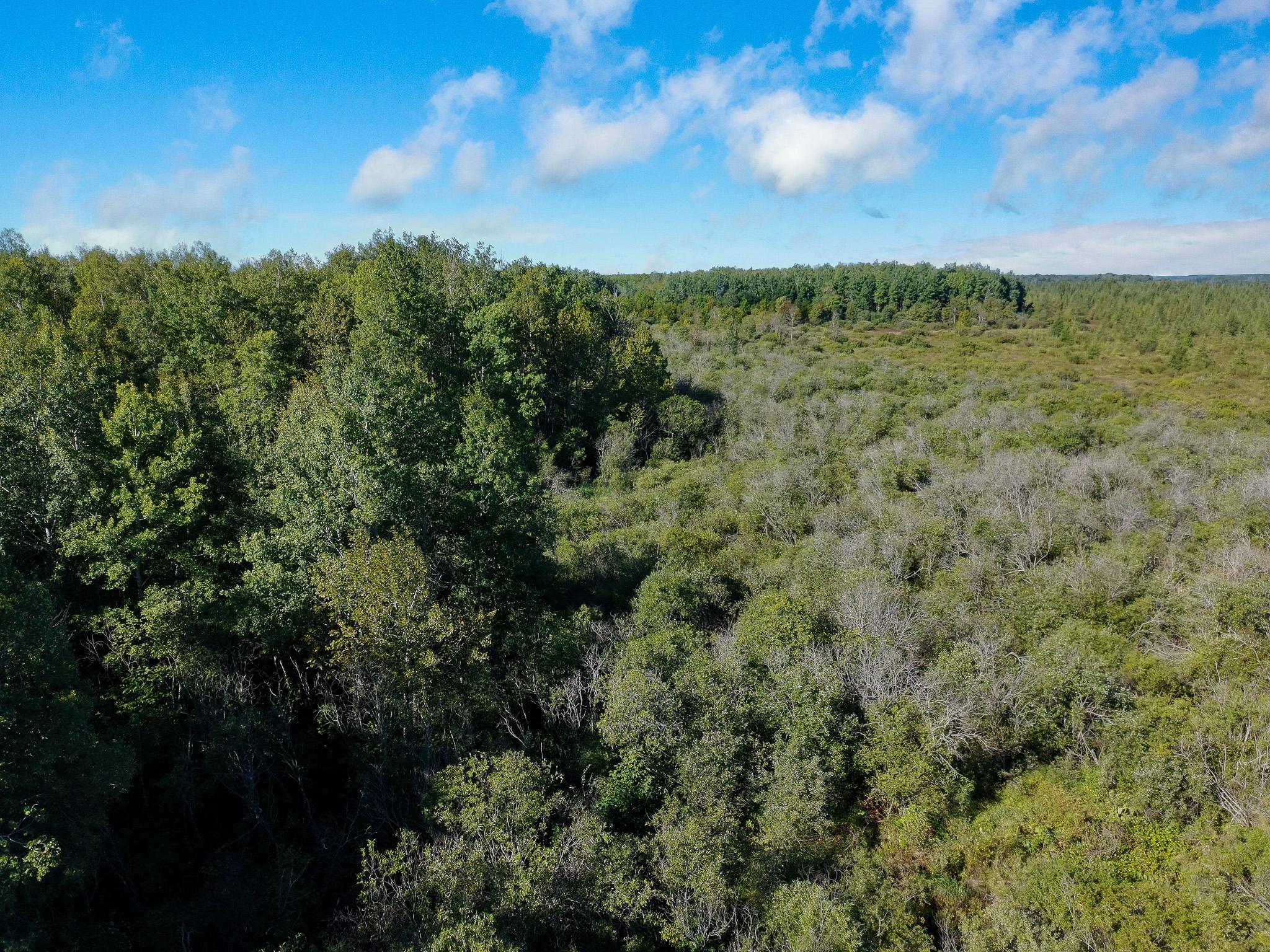 14026 440th Street Property Photo 24