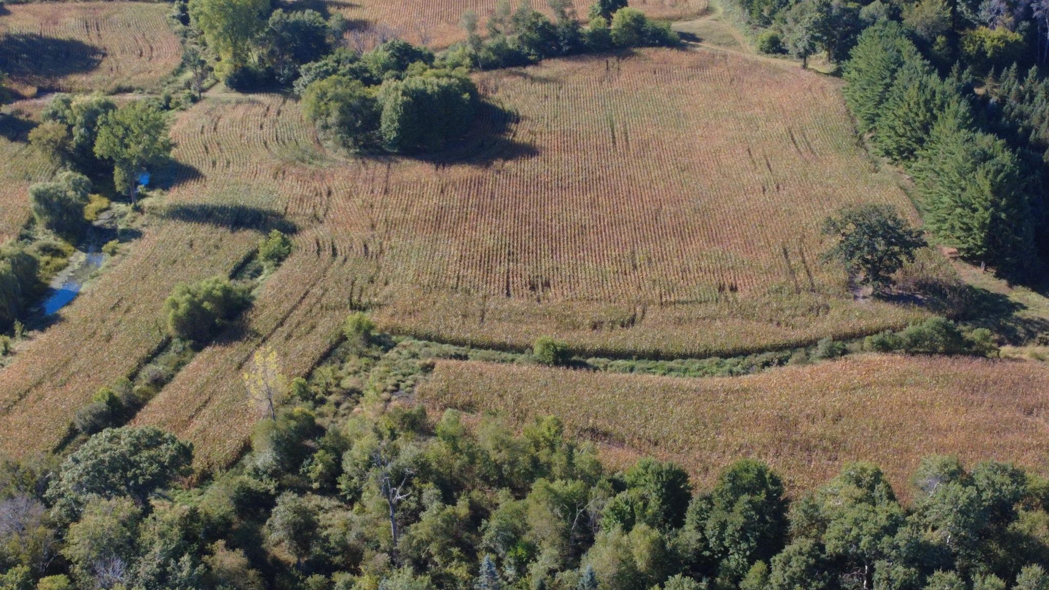 Xxx Tbd Property Photo 15