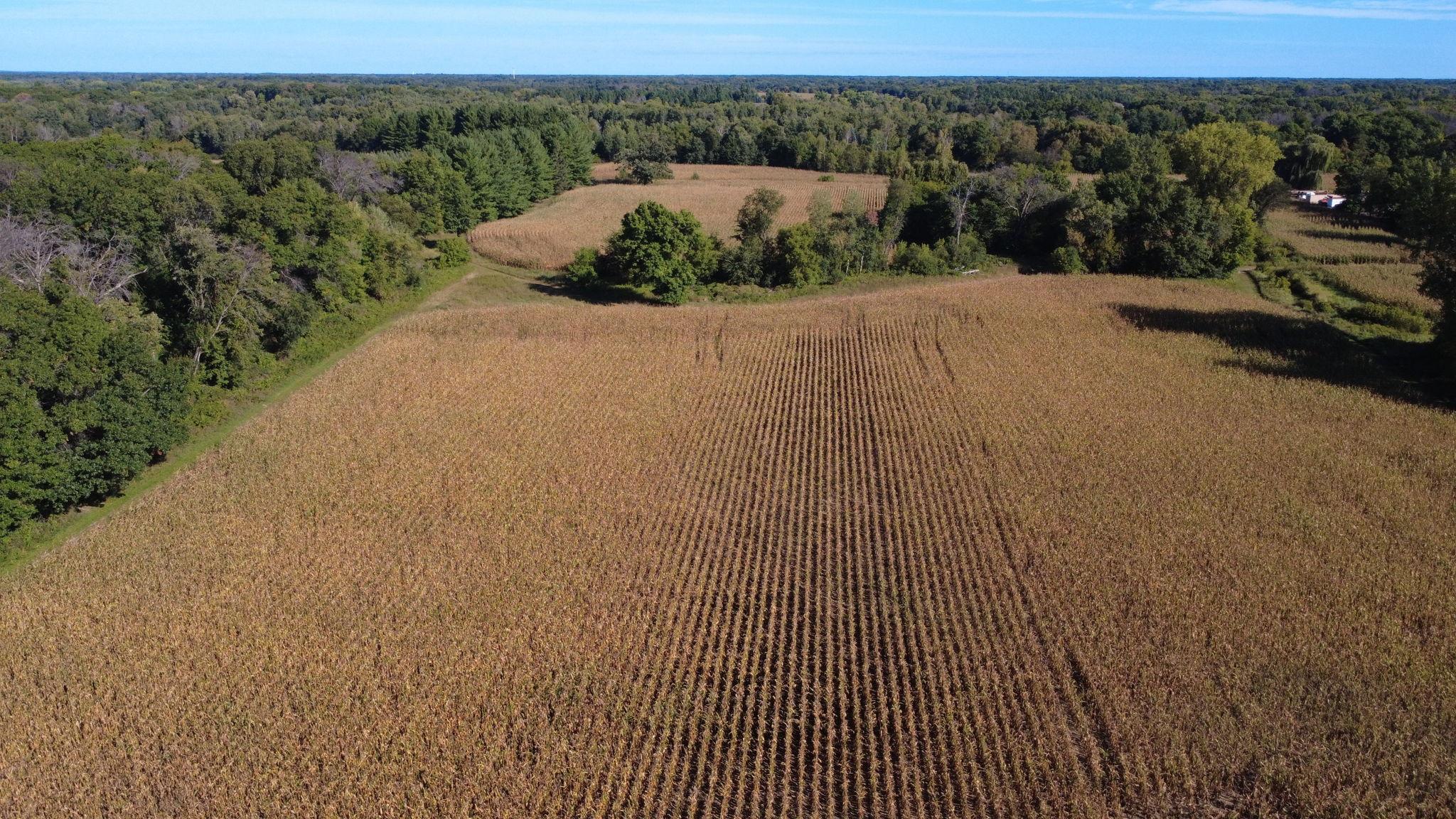 Xxx Tbd Property Photo 35