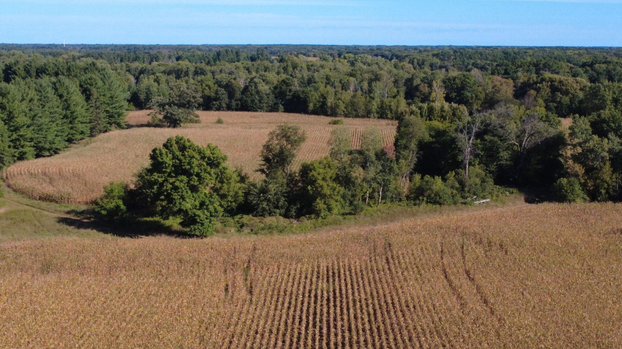 Xxx Tbd Property Photo 38