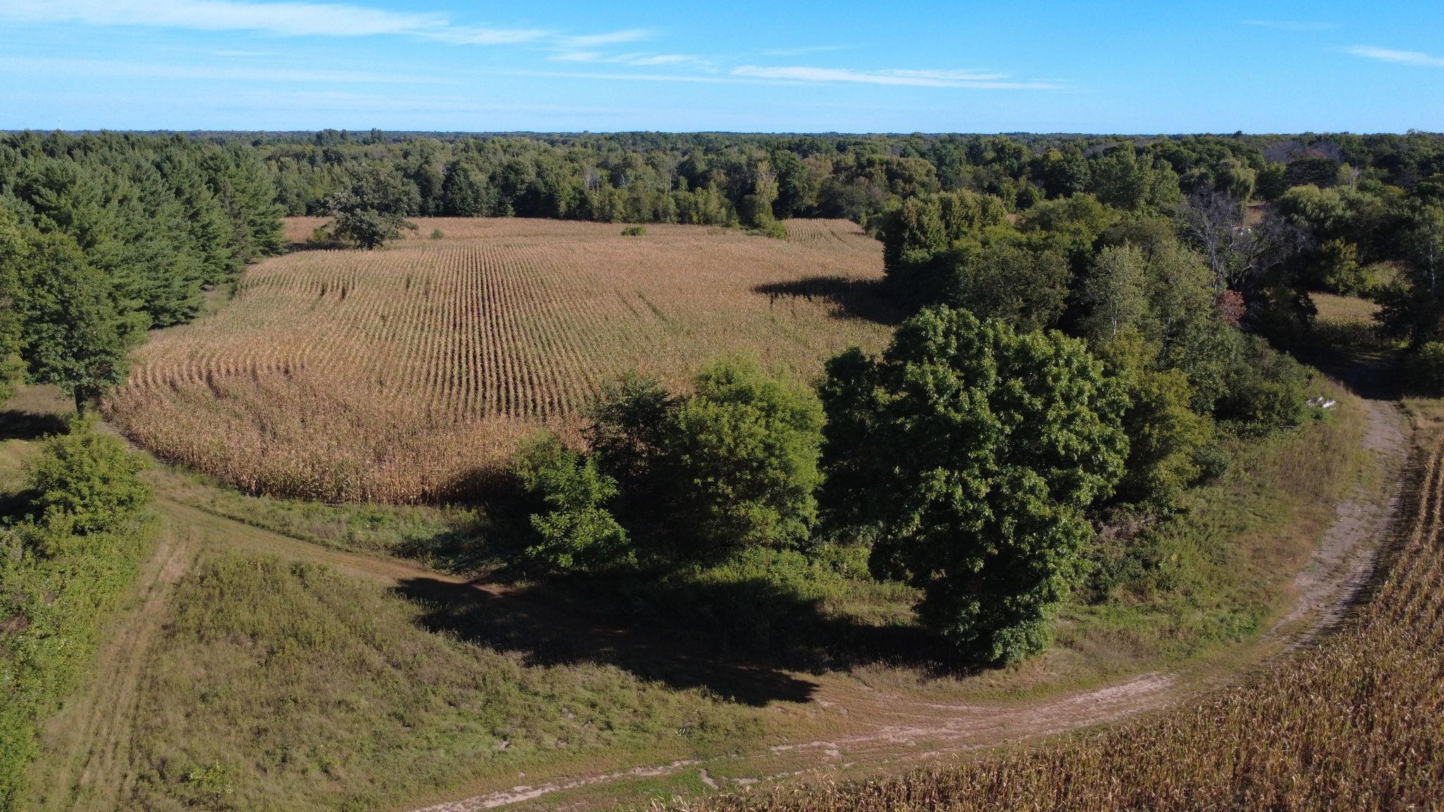 Xxx Tbd Property Photo 39