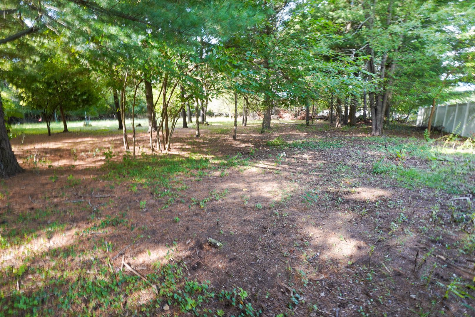 3128 Starr Avenue Property Photo 28
