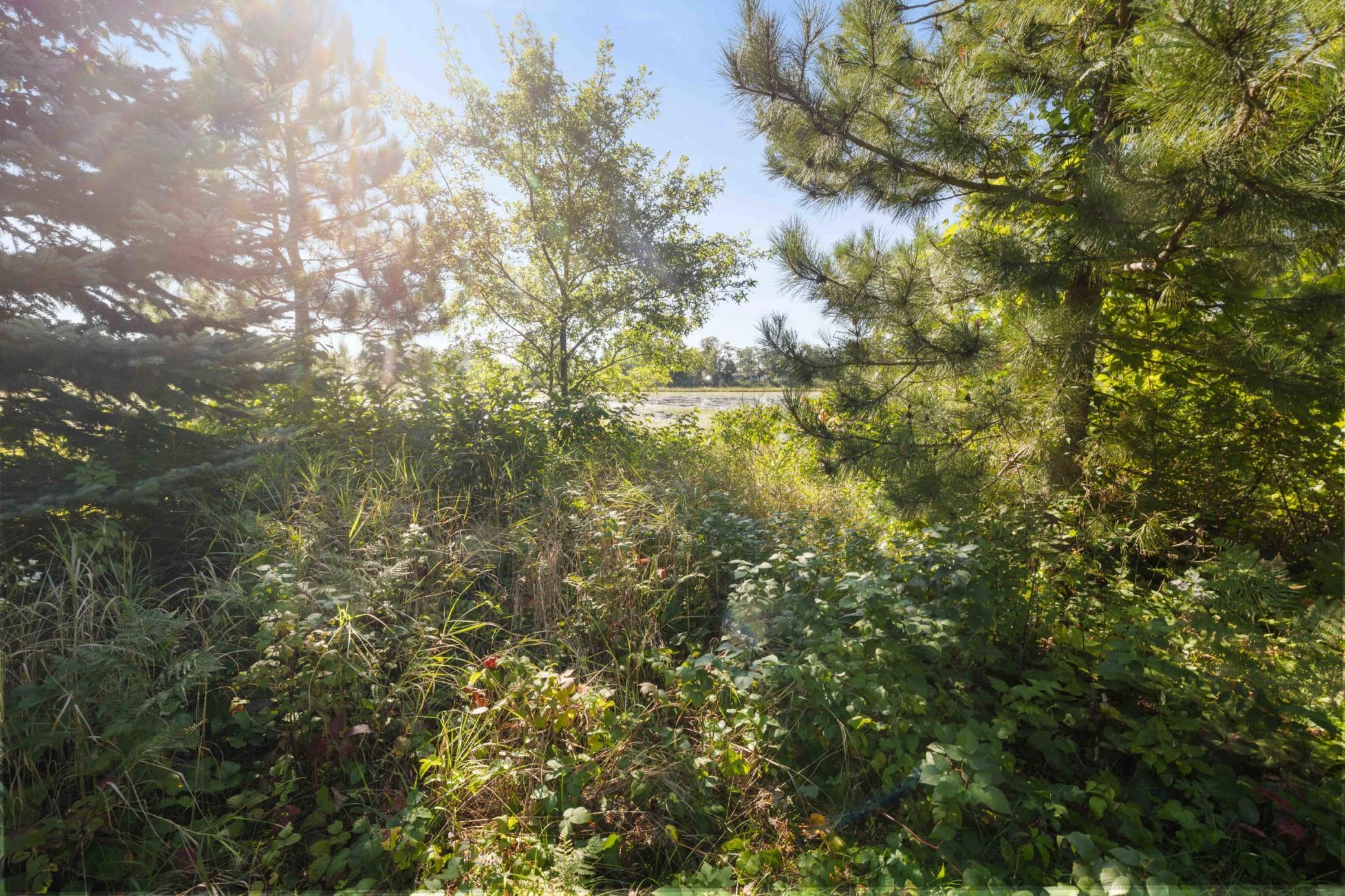 4451 See Gull Cove Property Photo 29