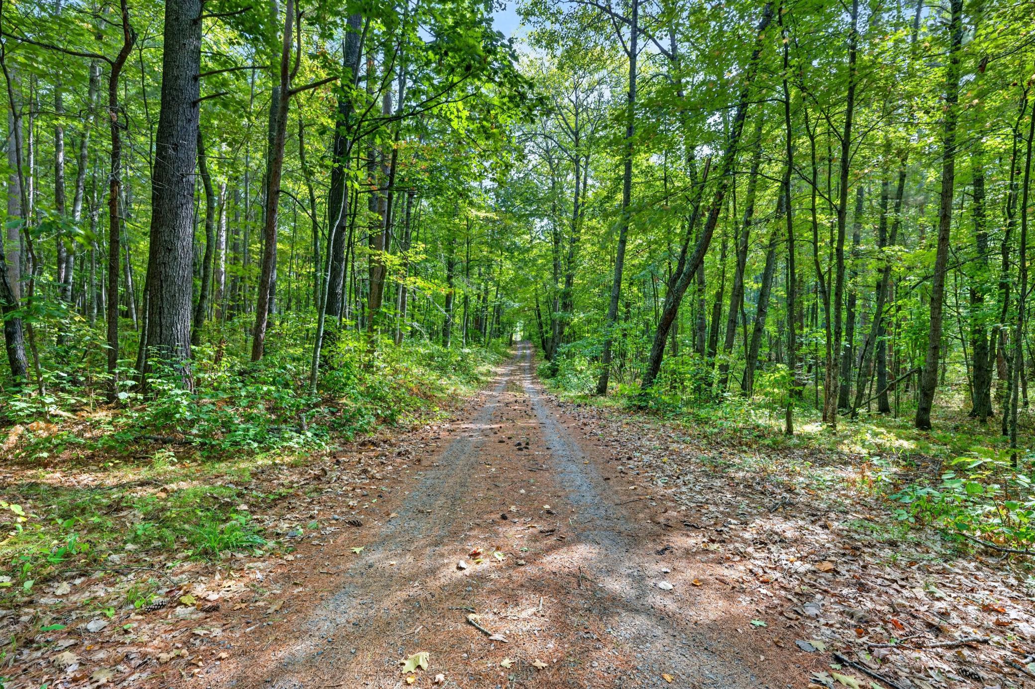 17305 Pioneer Road Property Photo 45