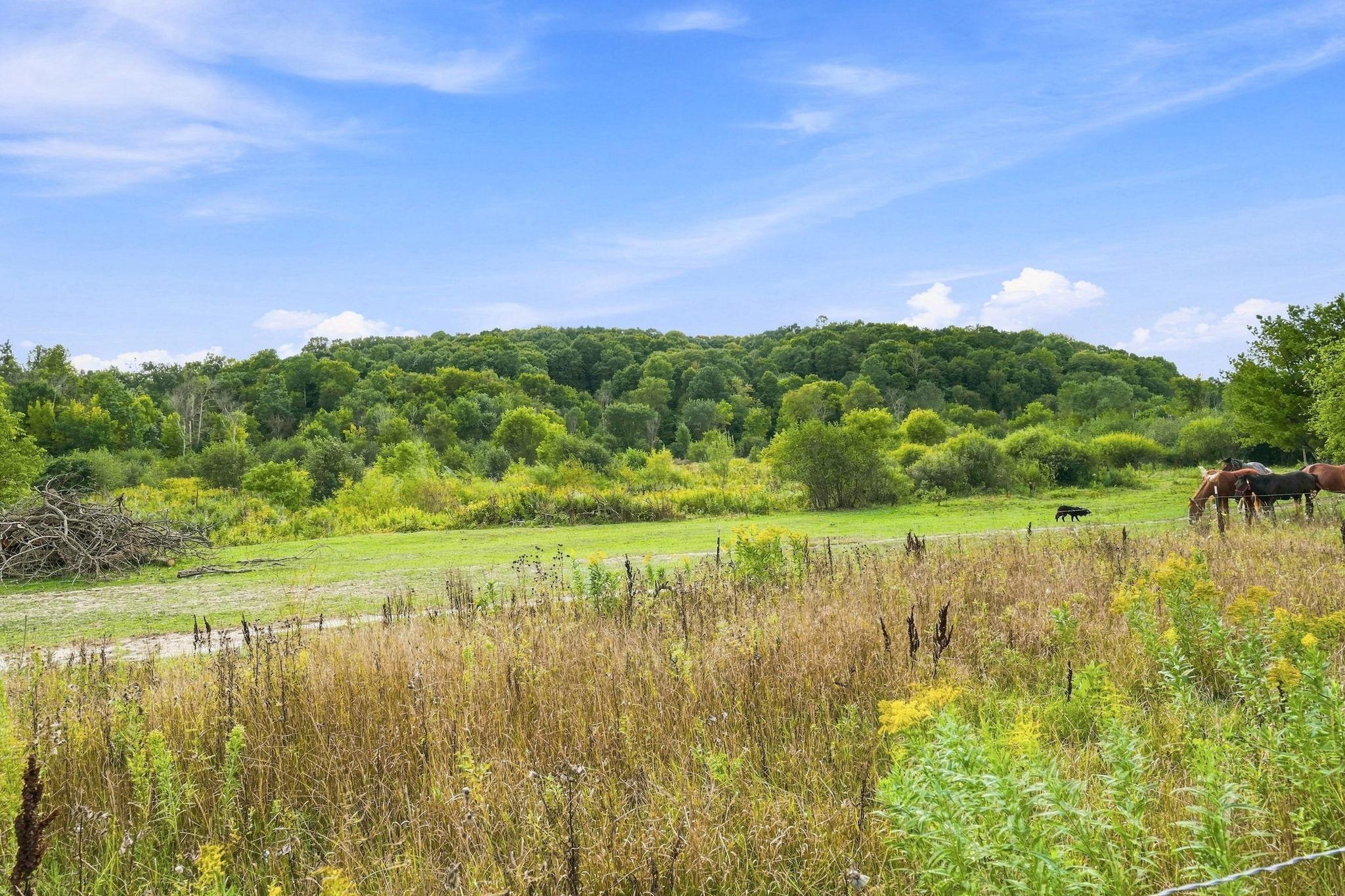 N14259 County Road K Property Photo 26