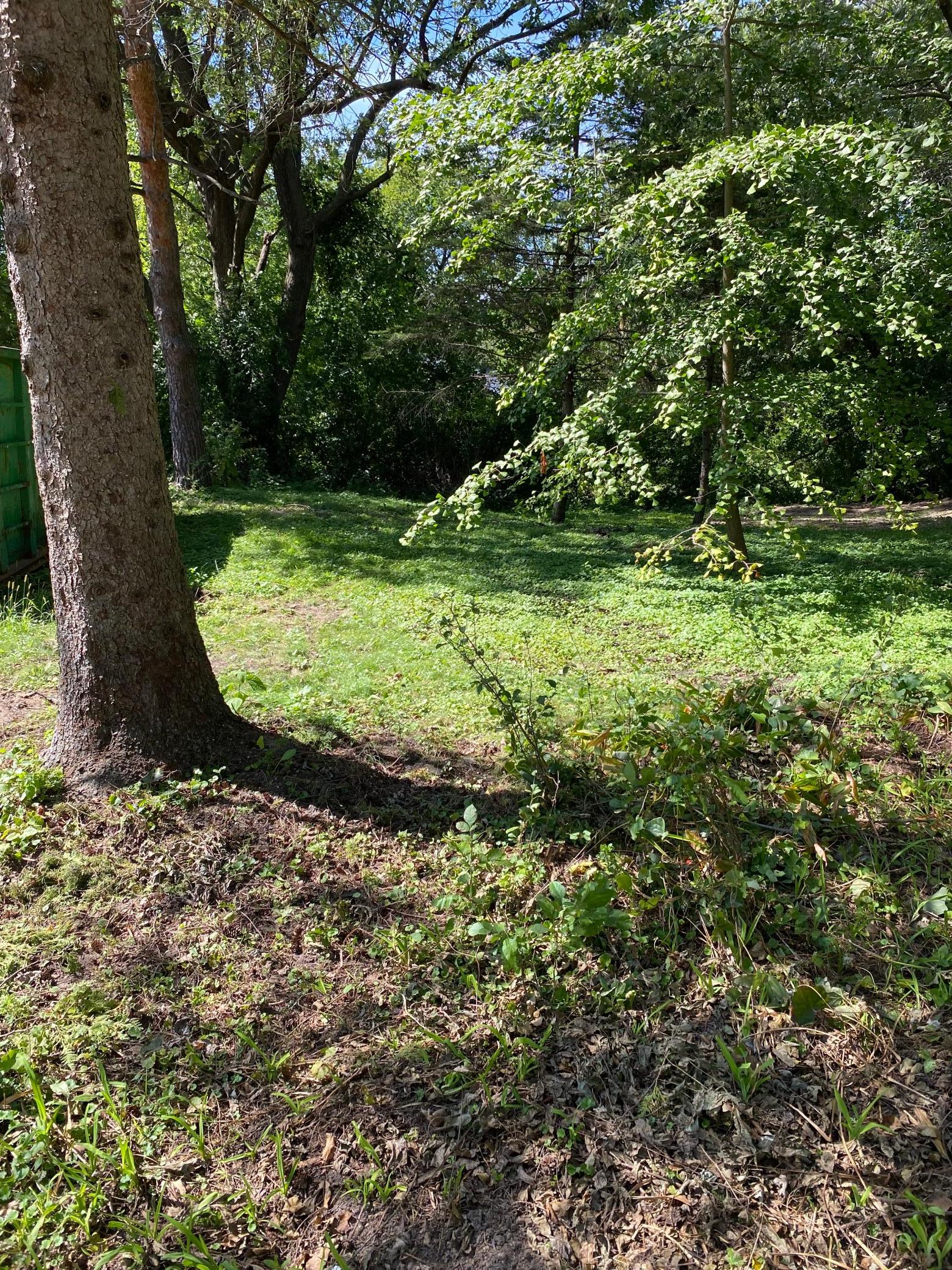 14819 Cherry Lane Property Photo 2