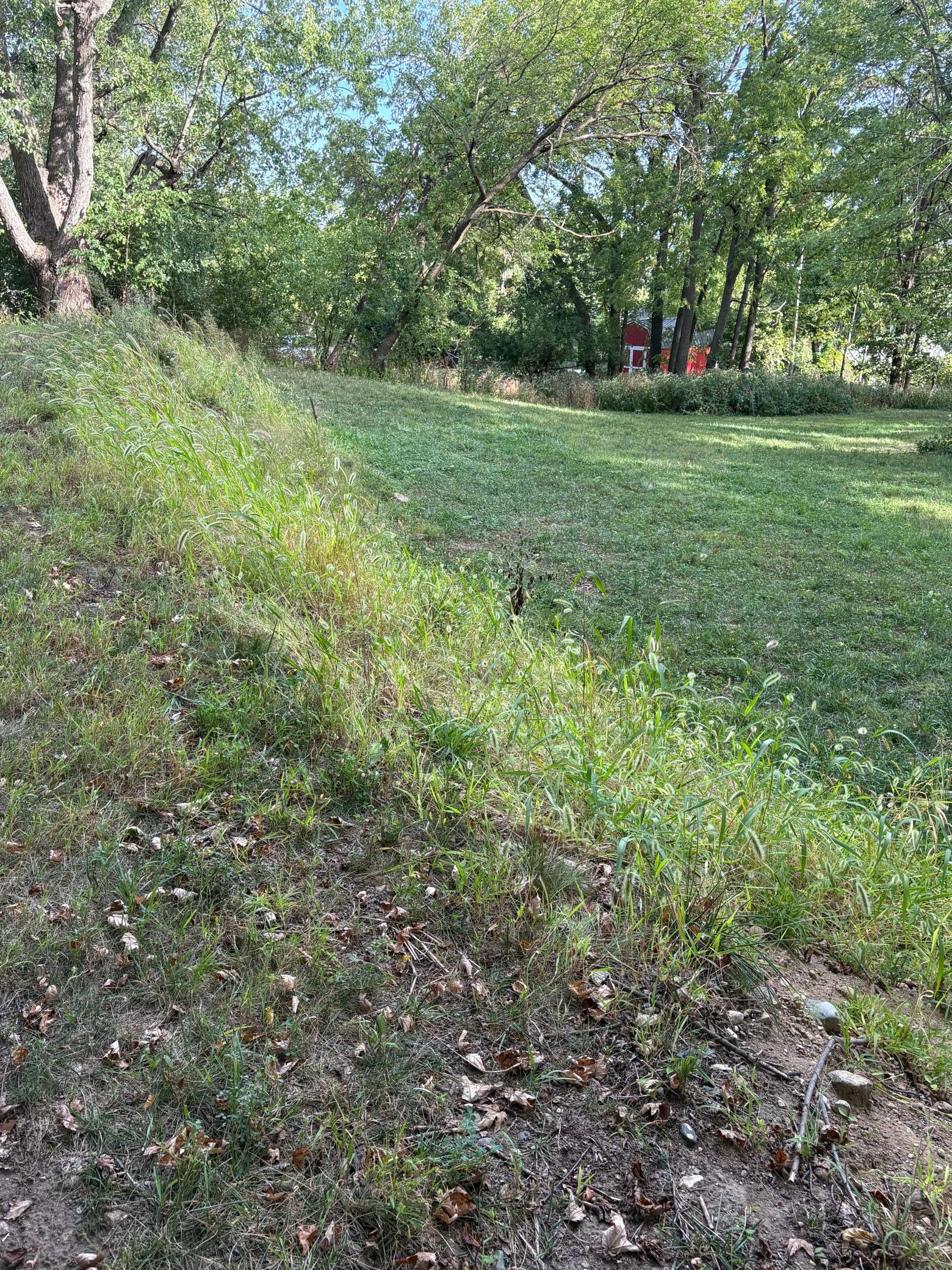 14819 Cherry Lane Property Photo 3
