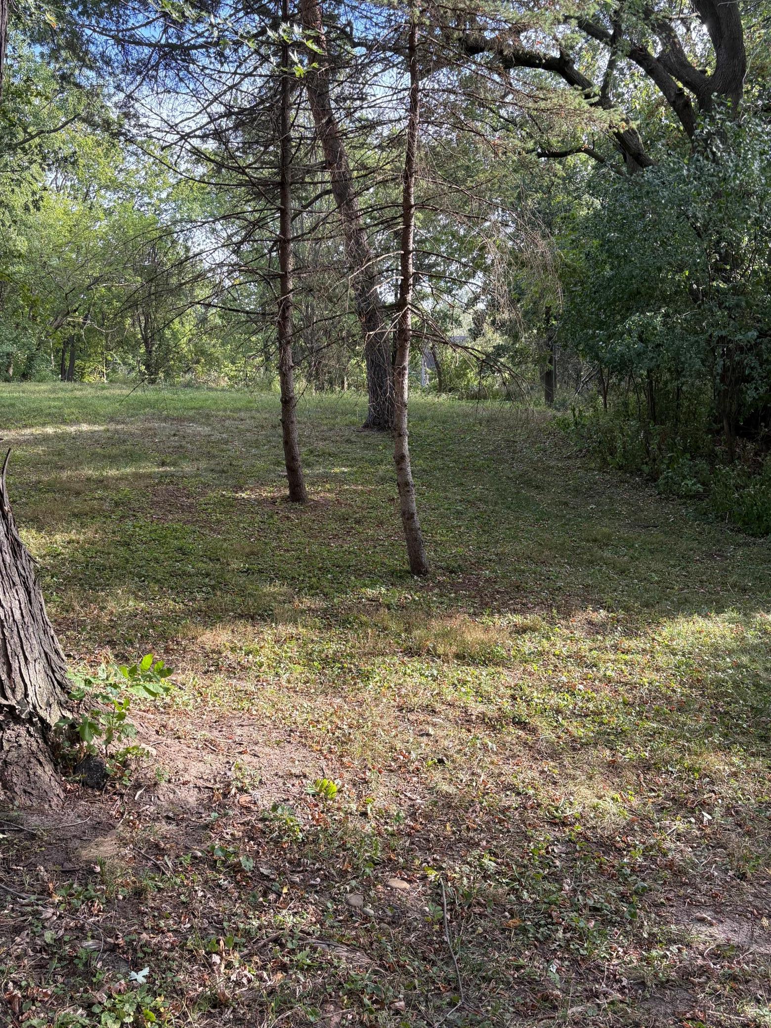 14819 Cherry Lane Property Photo 4