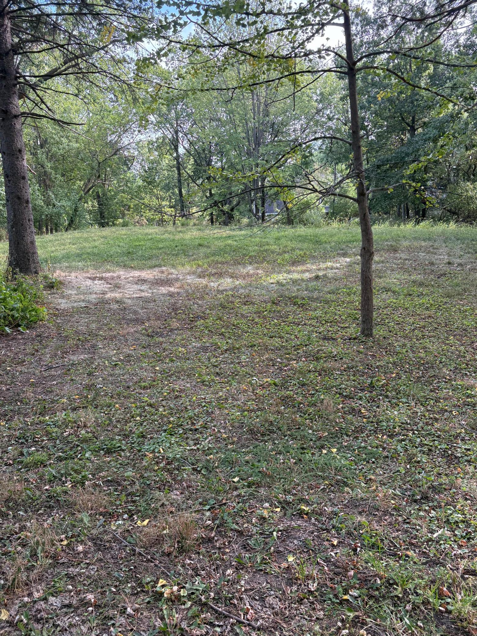 14819 Cherry Lane Property Photo 5