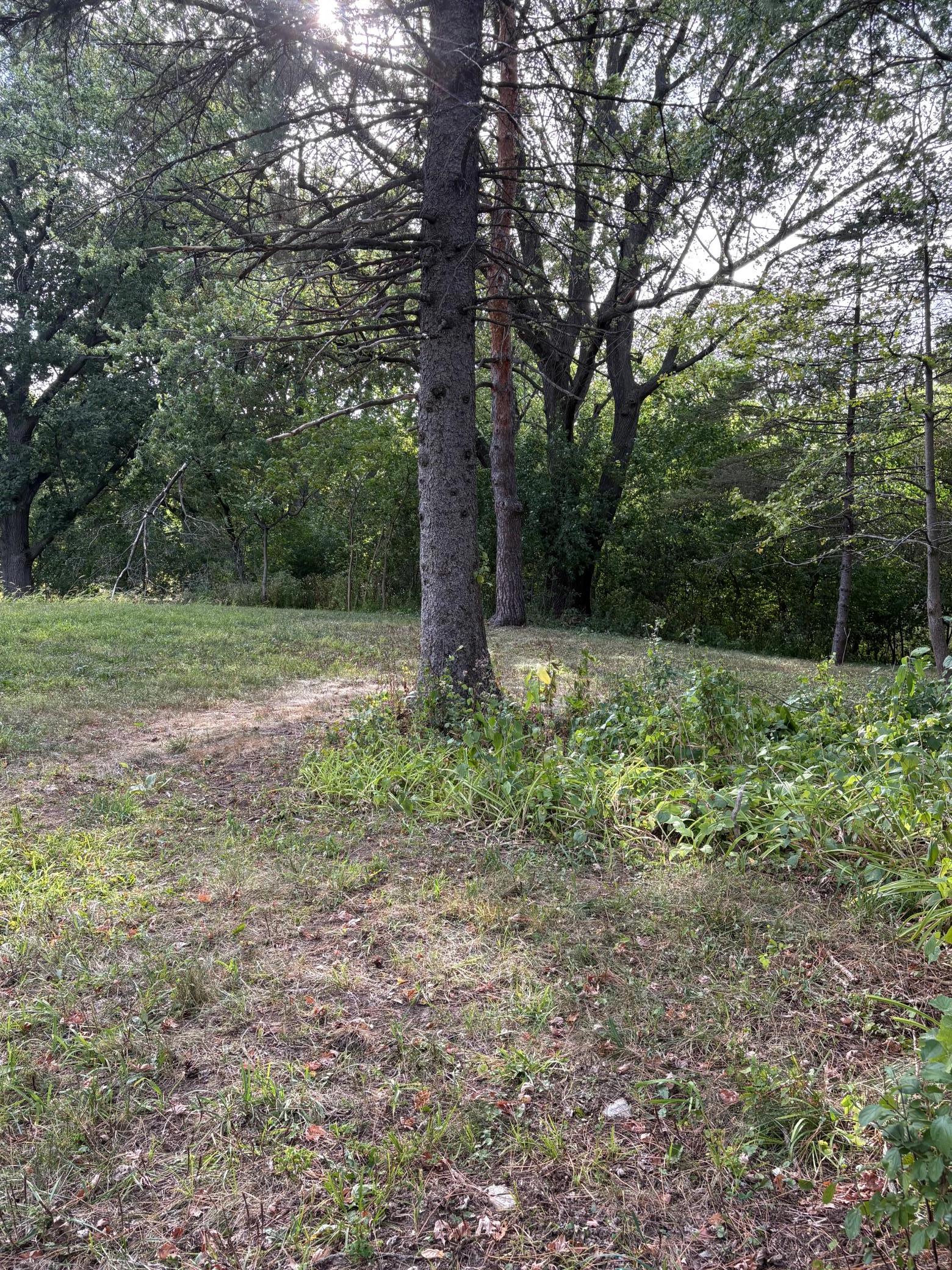 14819 Cherry Lane Property Photo 6