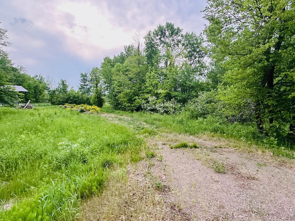 8514 Tennis Terrace Property Photo 3