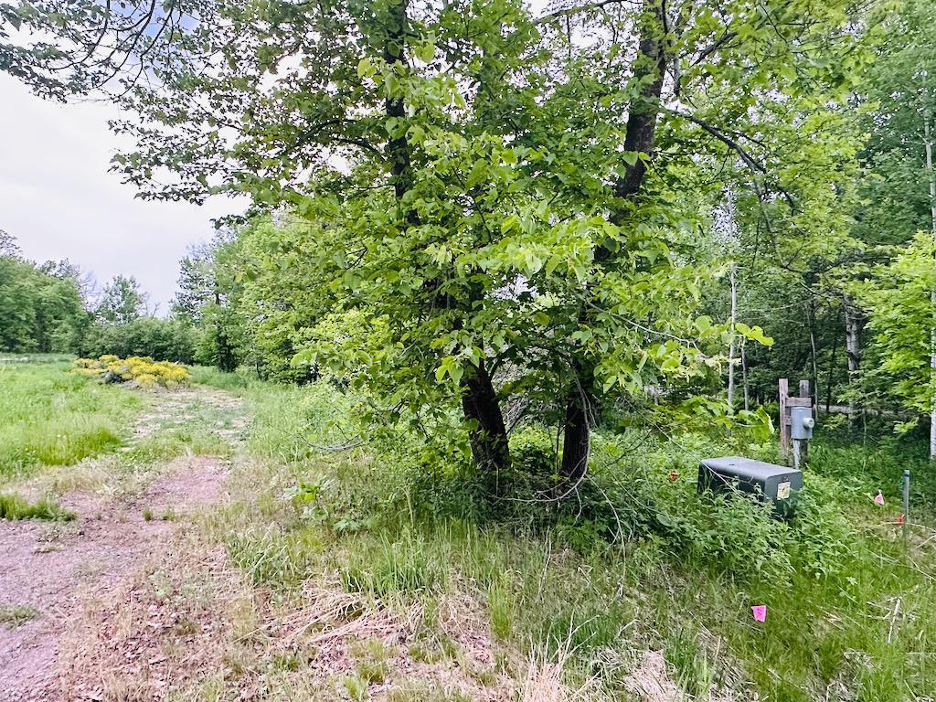 8514 Tennis Terrace Property Photo 4