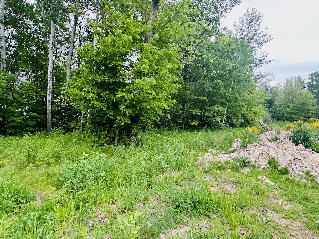 8514 Tennis Terrace Property Photo 9