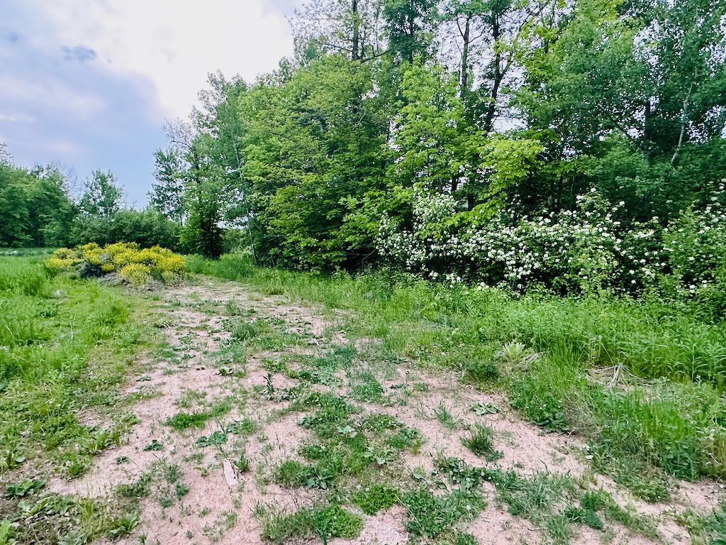 8514 Tennis Terrace Property Photo 11