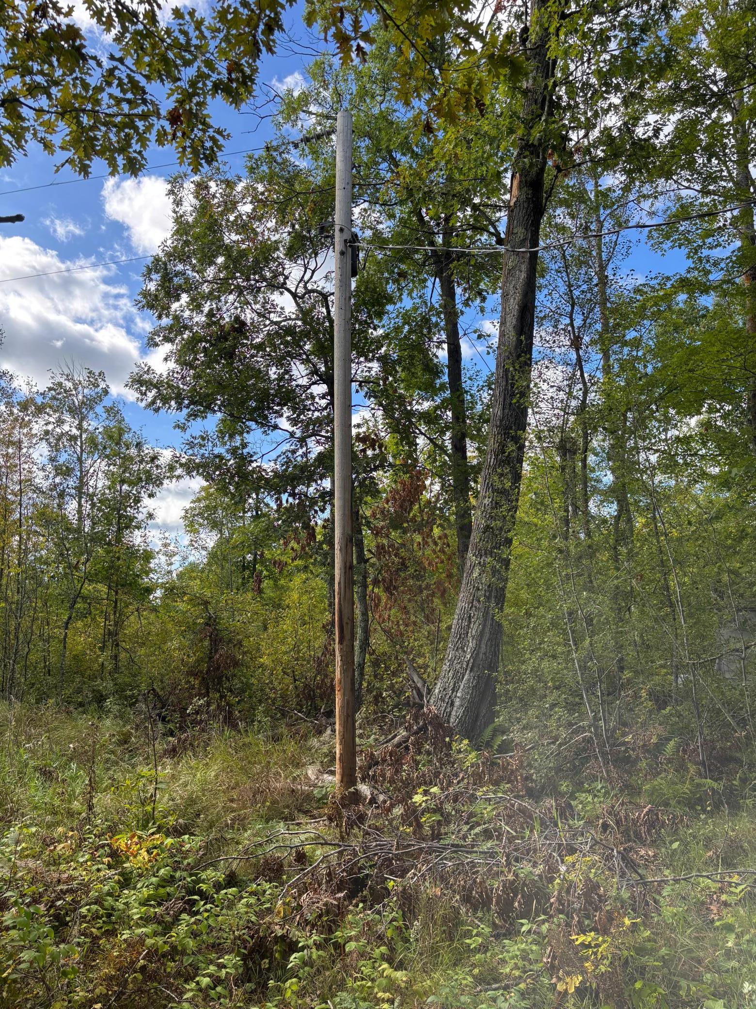 57731 Loon Avenue Property Photo 4