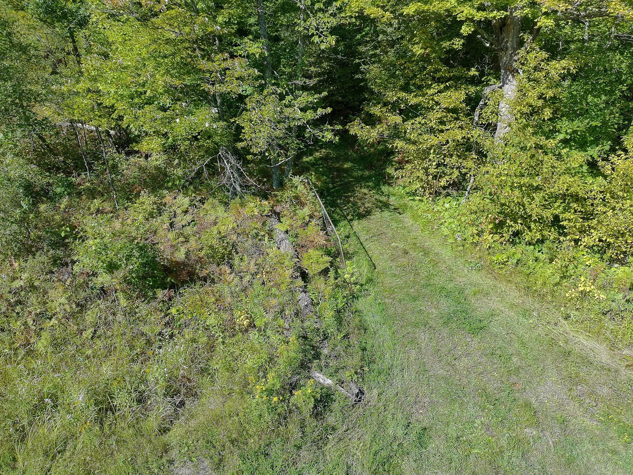 57731 Loon Avenue Property Photo 7